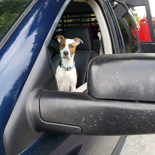 Tire Shop «Discount Tire Store - Beaverton, OR», reviews and photos, 18643 NW Eider Ct, Beaverton, OR 97006, USA