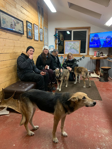 Alaskan Husky Adventures