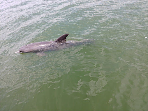 Boat Tour Agency «Good Time Charters», reviews and photos, 4765 Estero Blvd, Fort Myers Beach, FL 33931, USA