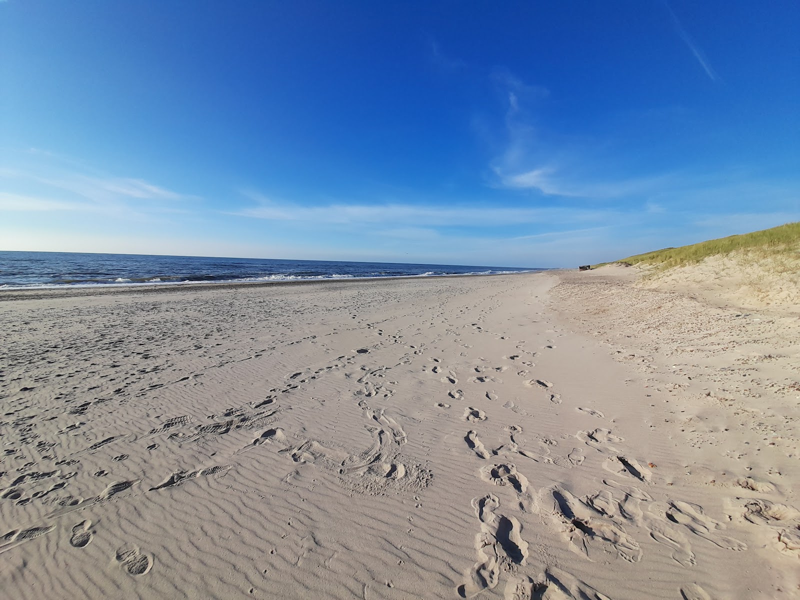 Foto di Spidsbjerg Beach con una superficie del sabbia luminosa
