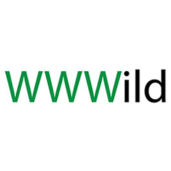 WWWild Webdesign Oostende - Webdesign