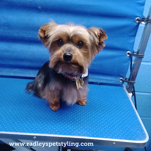 Comments and reviews of Radleys Pet Styling by Debbie