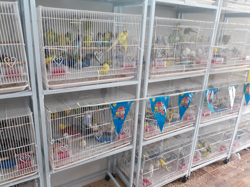 محل نوادر بيع طيور سمك حيوانات ومستلزماتها 