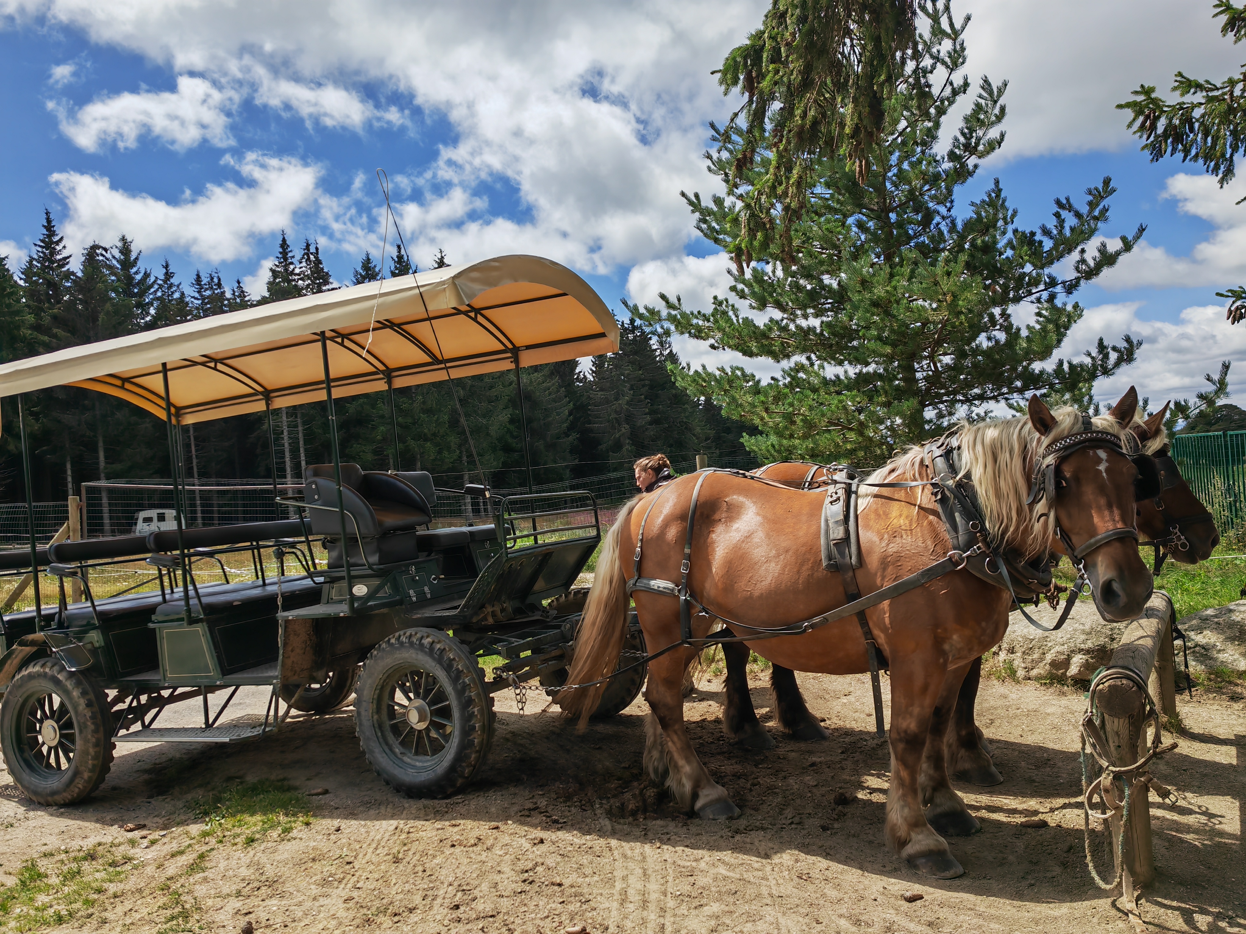 Photo n° 2 de l'avis de Isabelle.a fait le 06/08/2023 à 12:14