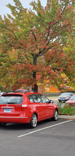 Pet Supply Store «Petco Animal Supplies», reviews and photos, 86 Storrs Rd, Mansfield Center, CT 06250, USA