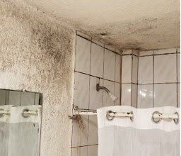 Hotel Libertad photo