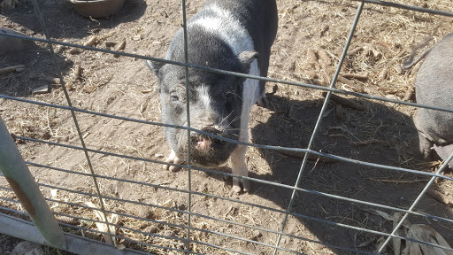 Farm «Wright Family Farm», reviews and photos, 329 Kings Hwy, Warwick, NY 10990, USA