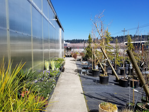 Hardware Store «Tozier Brothers», reviews and photos, 110 Mill St, Shelton, WA 98584, USA