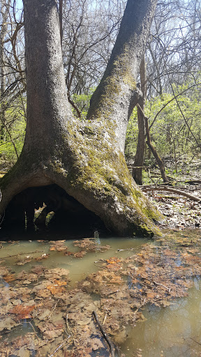 Golf Course «Airport Golf Course», reviews and photos, 900 N Hamilton Rd, Columbus, OH 43219, USA