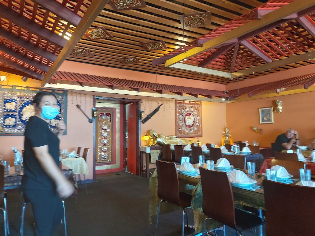 White Elephant Thai Restaurant 6230