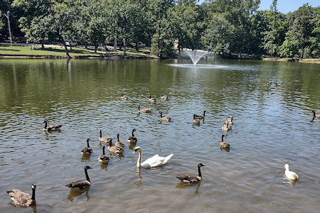 Dunnegan Memorial Park