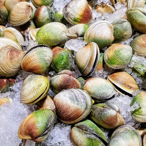 Supermarket «DeCicco & Sons», reviews and photos, 2141 Palmer Ave, Larchmont, NY 10538, USA