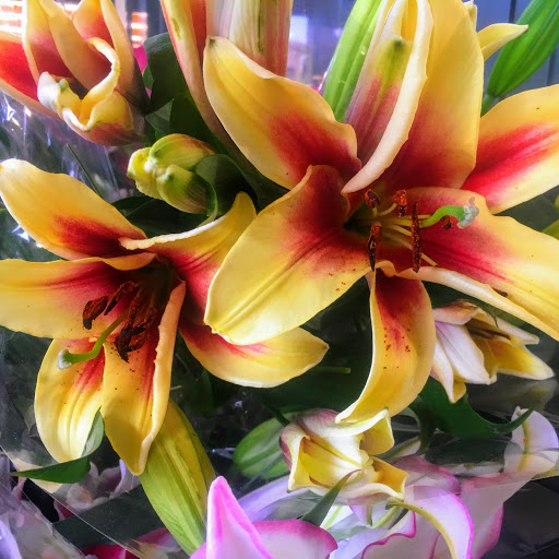 Grocery Store «Whole Foods Market», reviews and photos, 100 Sunset Dr, San Ramon, CA 94583, USA