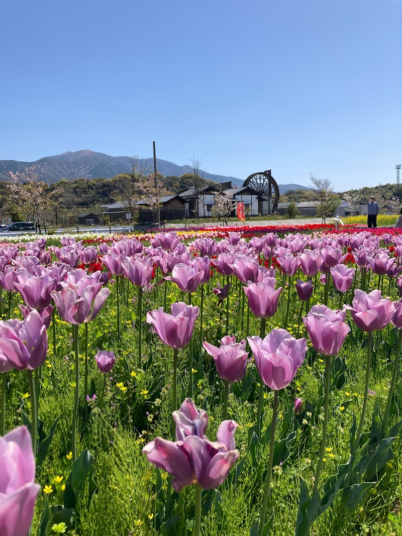 もち吉 花苑