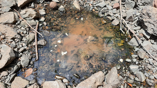 Park «Ben Lomond Regional Park», reviews and photos, 7500 Ben Lomond Park Rd, Manassas, VA 20109, USA