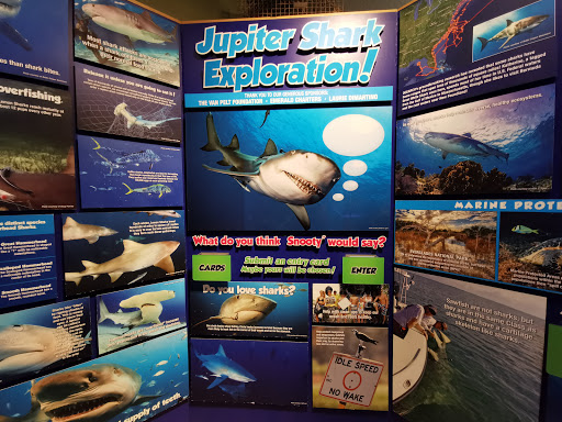 Aquarium «The River Center», reviews and photos, 805 US-1, Jupiter, FL 33477, USA