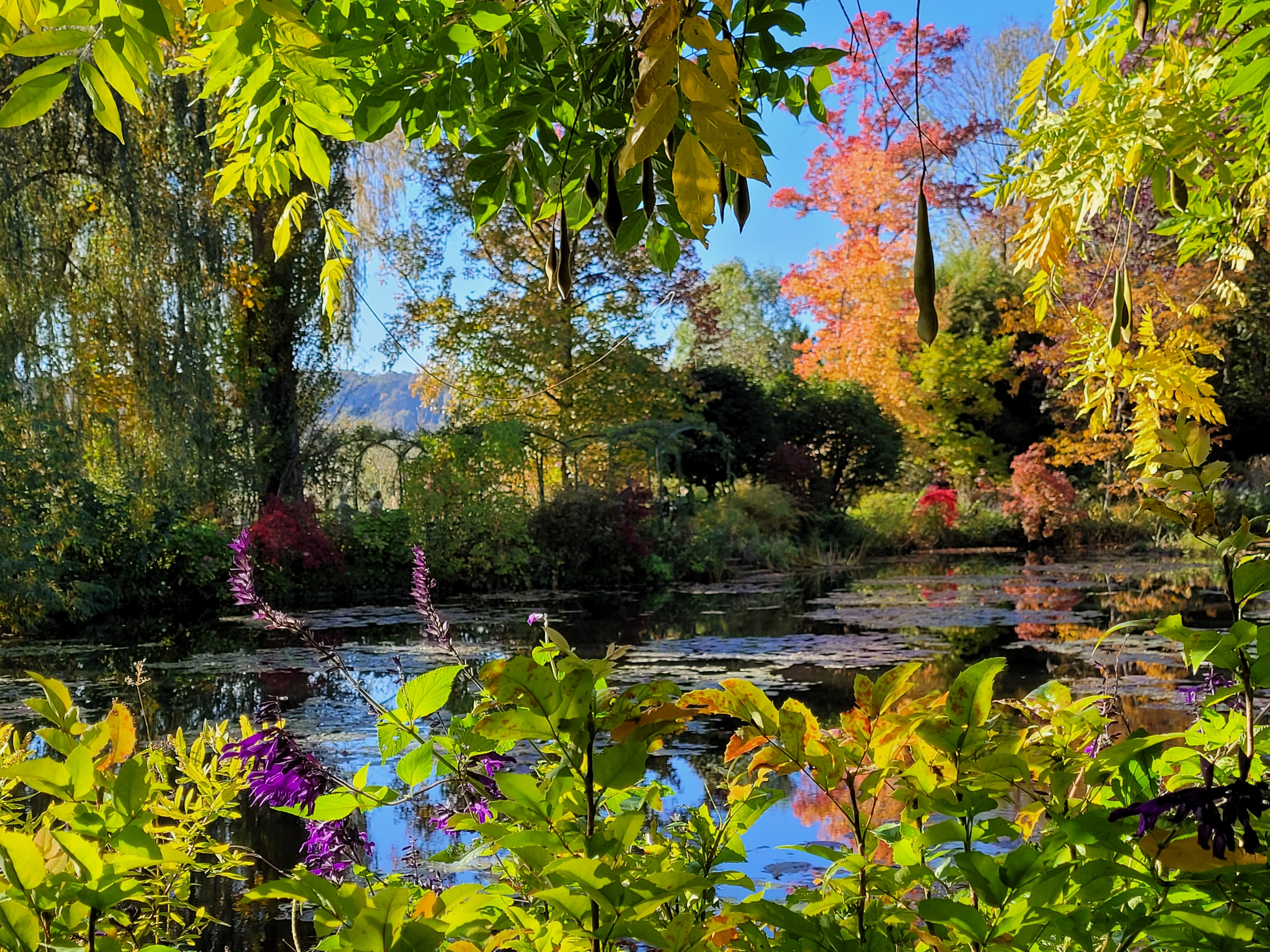 Photo n° 2 de l'avis de Cynthia.e fait le 29/10/2021 à 17:11