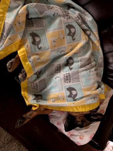 Body Piercing Shop «Artistic Impressions Tattoo Studio», reviews and photos, 20633 Katy Fwy, Katy, TX 77450, USA