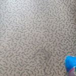 Photo n°3 de l'avis de Tanja.r fait le 01/04/2024 à 08:48 sur le  Savoy Hotel Bad Mergentheim à Bad Mergentheim