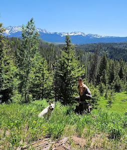 Red and White Mountain Colorado 81632