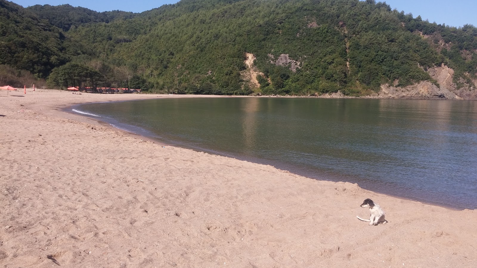 Gockundemirci Koyu Plaji'in fotoğrafı ve yerleşim