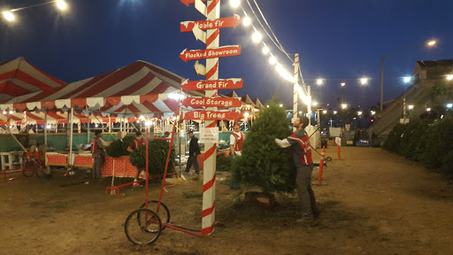 Christmas tree farm Long Beach
