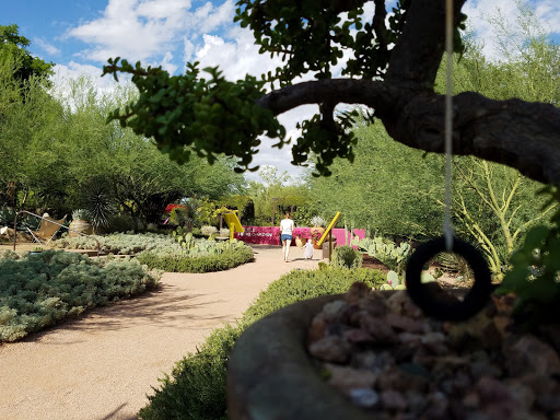 Botanical Garden «Desert Botanical Garden», reviews and photos, 1201 N Galvin Pkwy, Phoenix, AZ 85008, USA