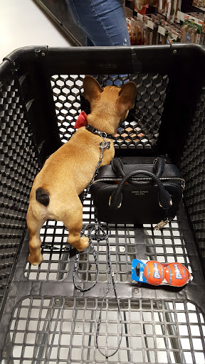 Pet Store «Woofmeow Family Pet Center», reviews and photos, 19 Manchester Rd Suite A, Derry, NH 03038, USA