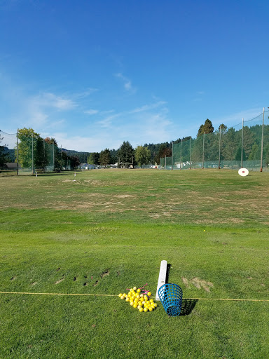 Golf Course «Mint Valley Golf Course», reviews and photos, 4002 Pennsylvania St, Longview, WA 98632, USA