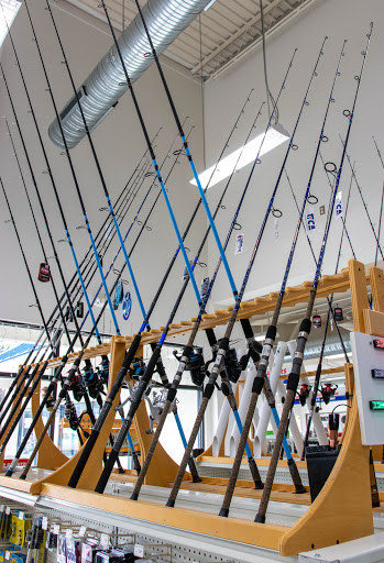 Auto Parts Store «Carquest Auto Parts», reviews and photos, 13 Atlantic Ave, Ocean View, DE 19970, USA