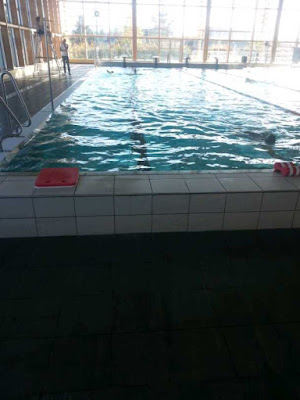 Piscine Androsace à Cournon-d'Auvergne