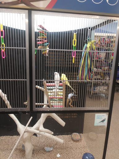 Pet Supply Store «PetSmart», reviews and photos, 1700 Fruitville Pike, Lancaster, PA 17601, USA