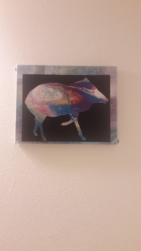 Wildlife Rescue Service «Southwest Wildlife Conservation Center», reviews and photos, 27026 N 156th St, Scottsdale, AZ 85262, USA