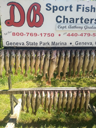 Bait Shop «DB Marine & Outdoor Sports, LLC - Geneva», reviews and photos, 4762 N Broadway, Geneva, OH 44041, USA