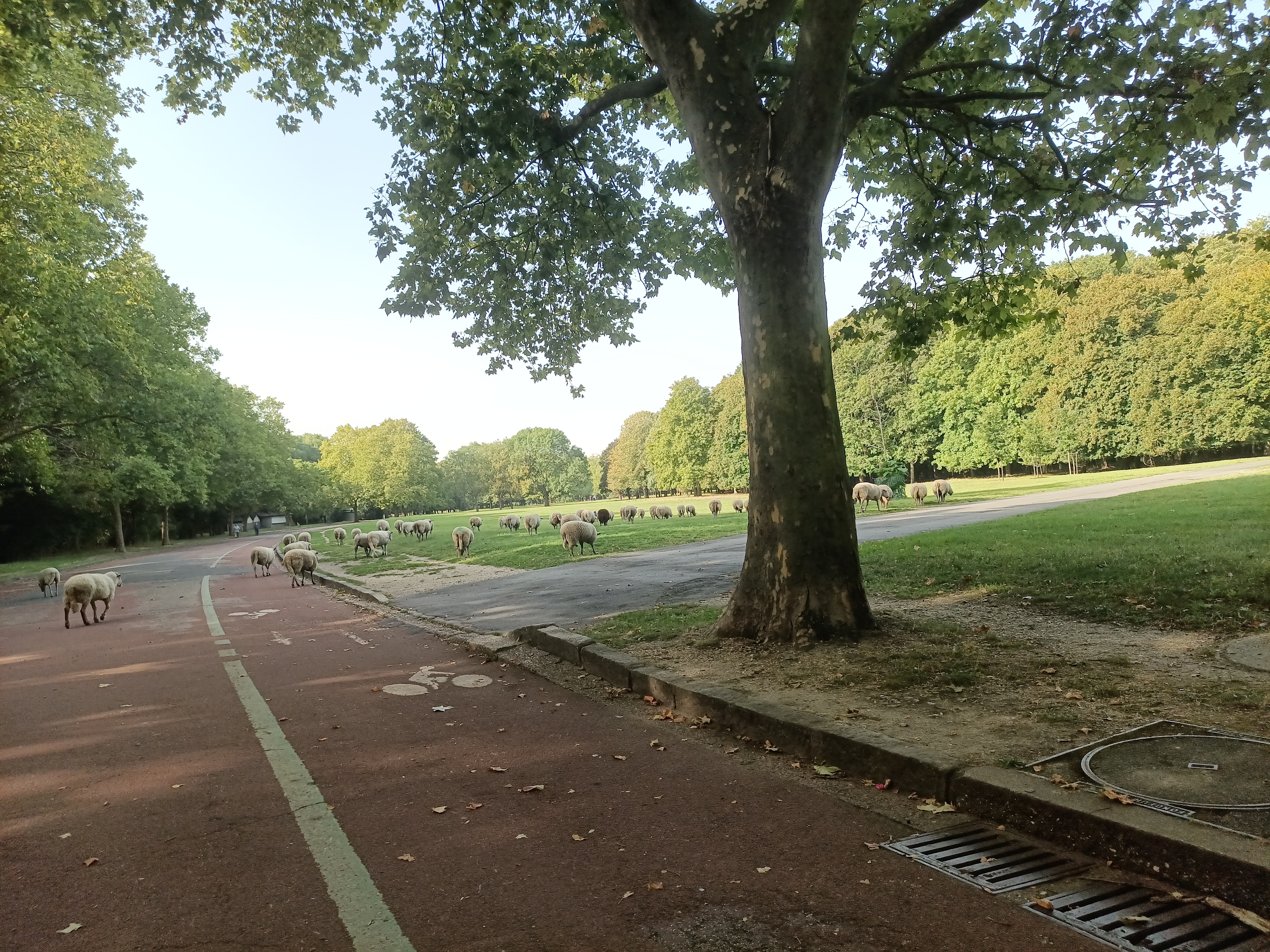 Photo n° 5 de l'avis de ini.e fait le 29/07/2023 à 12:14