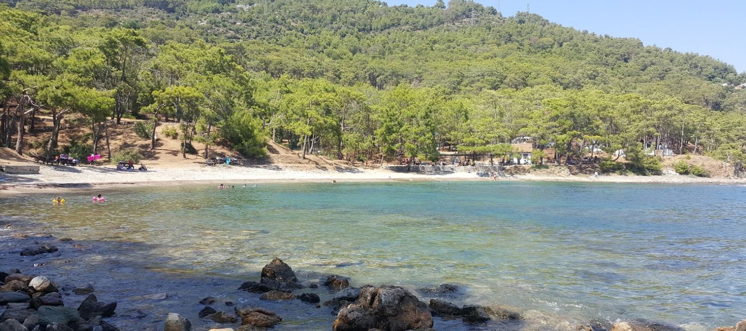 Pullu beach'in fotoğrafı uçurumlarla desteklenmiş