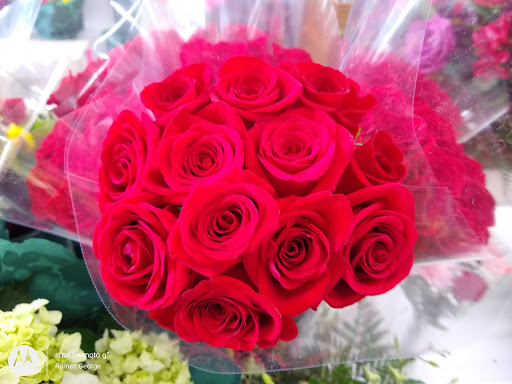 Supermarket «206 Farmers Market Inc», reviews and photos, 626 US-206, Hillsborough Township, NJ 08844, USA