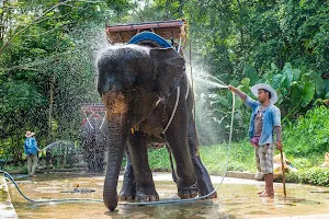 Elephant Trekking image