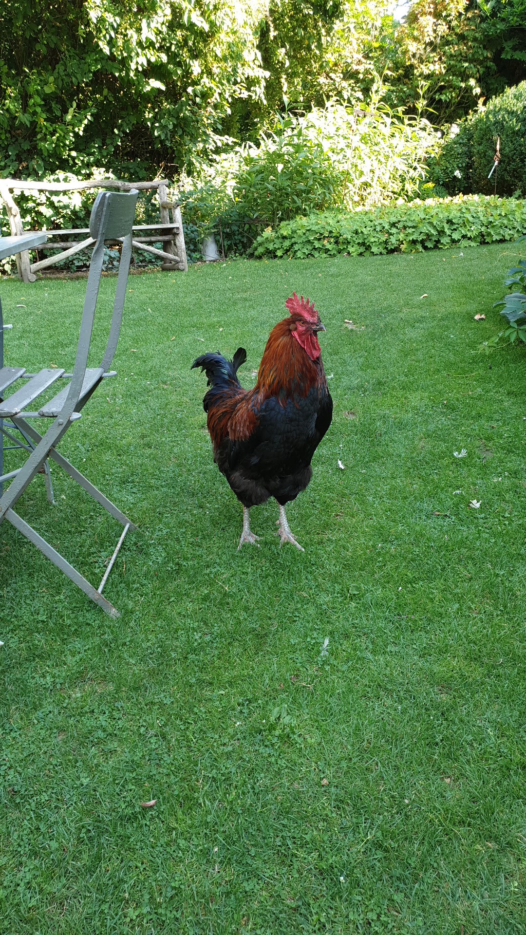 Photo n° 1 de l'avis de Maxime.E fait le 07/08/2019 à 15:38