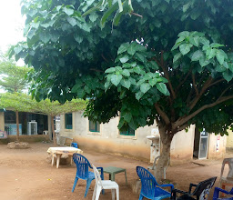 Anaconda Gardens & Bar photo