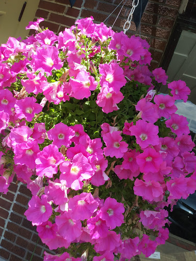 Museum «Lincoln Museum Inc», reviews and photos, 66 Lincoln Square, Hodgenville, KY 42748, USA