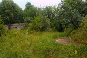 Fort Domeikava image