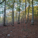 Photo n°7 de l'avis de Palmina.. fait le 18/10/2022 à 18:36 sur le  Rifugio A. De Gasperi à Viggianello