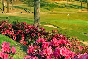 Chapel Hills Golf Club image