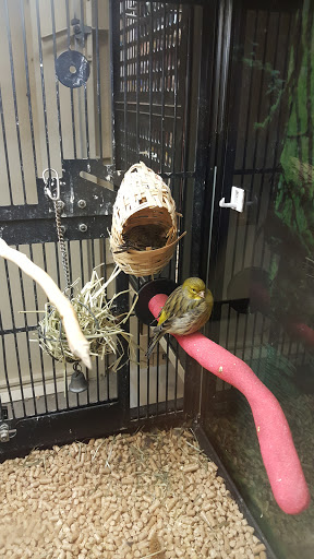 Pet Supply Store «PetSmart», reviews and photos, 19075 Interstate 45 S, Shenandoah, TX 77385, USA