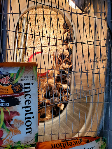 Tack Shop «J & T Country Feeds Inc», reviews and photos, 4835 W 10th St, Greeley, CO 80634, USA