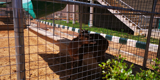 Aldusar Parks and Zoo, Nigeria, Community Center, state Katsina