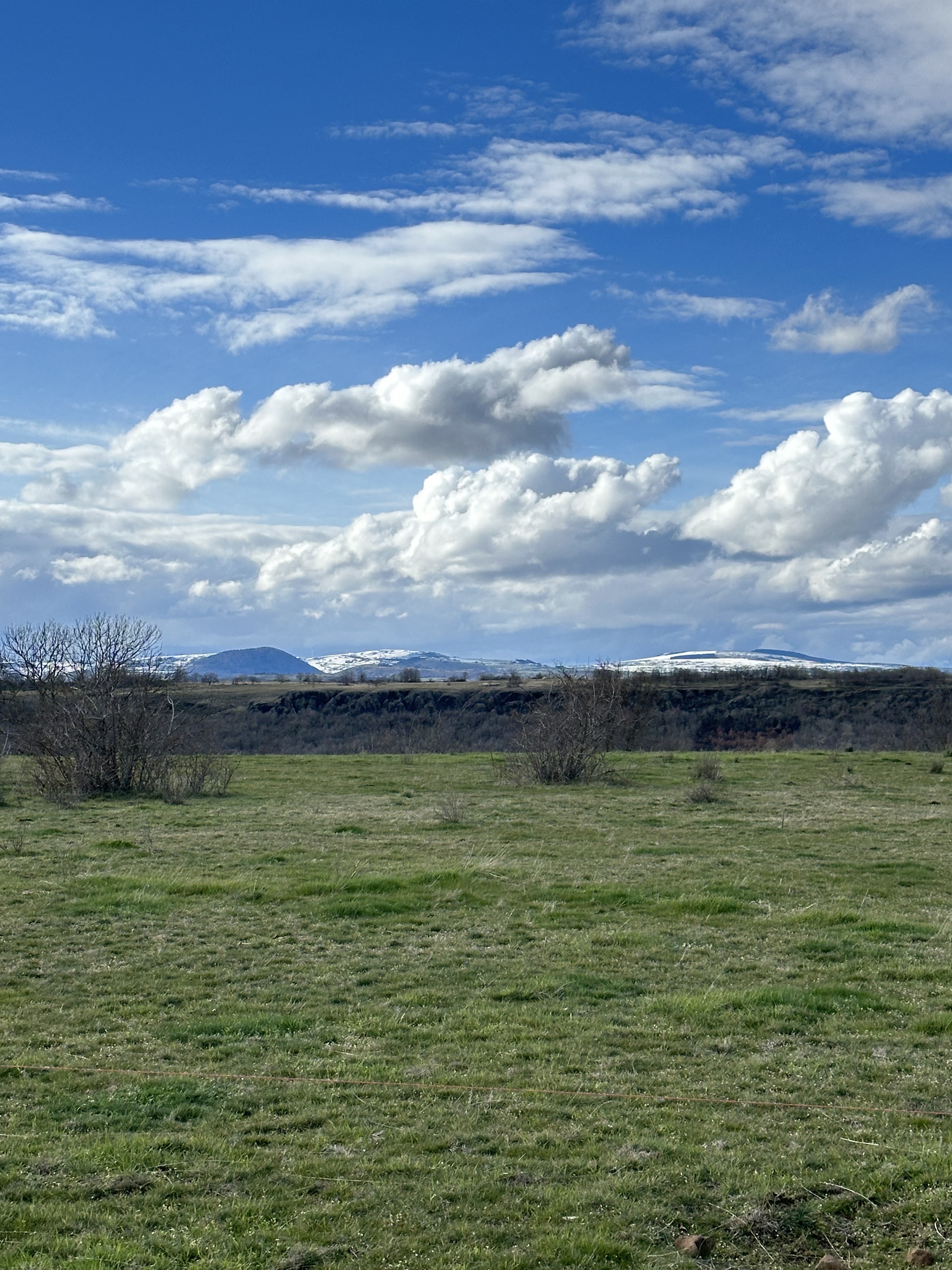 Photo n° 3 de l'avis de Corentin.e fait le 10/03/2024 à 15:26