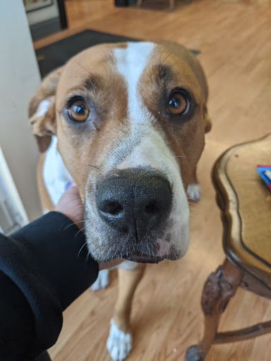 Tattoo Shop «Lombard Street Tattoo», reviews and photos, 8937 N Lombard St, Portland, OR 97203, USA