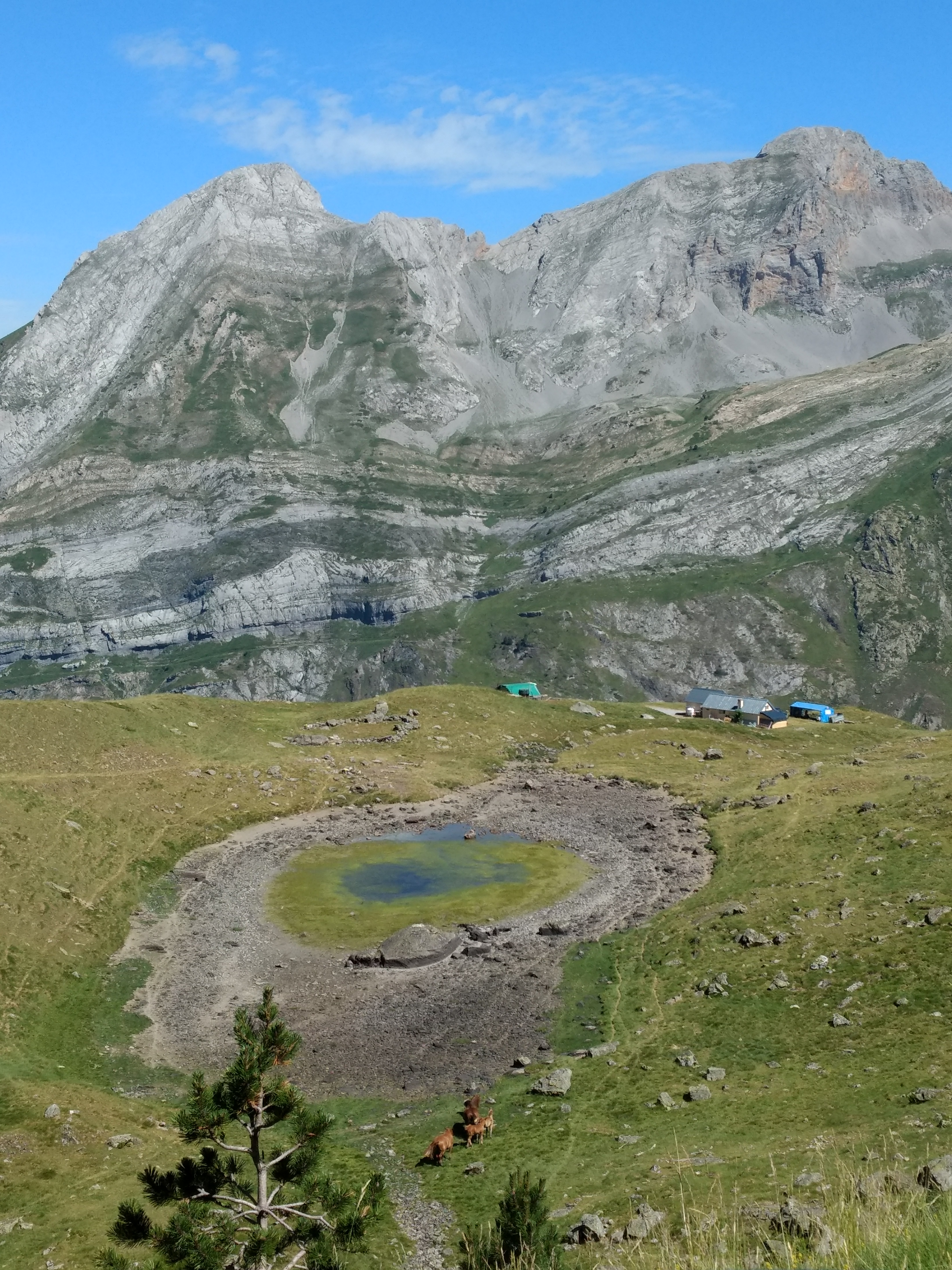 Photo n° 9 de l'avis de King.t fait le 16/07/2019 à 18:41